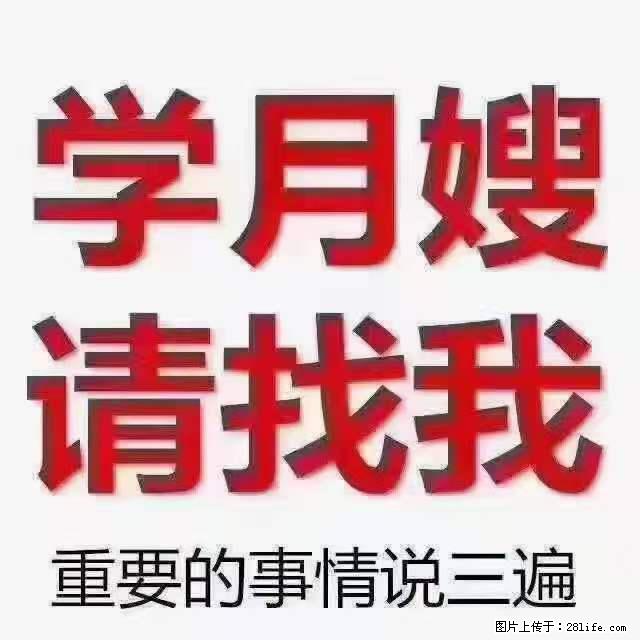 为什么要学习月嫂，育婴师？ - 其他广告 - 广告专区 - 许昌分类信息 - 许昌28生活网 xc.28life.com