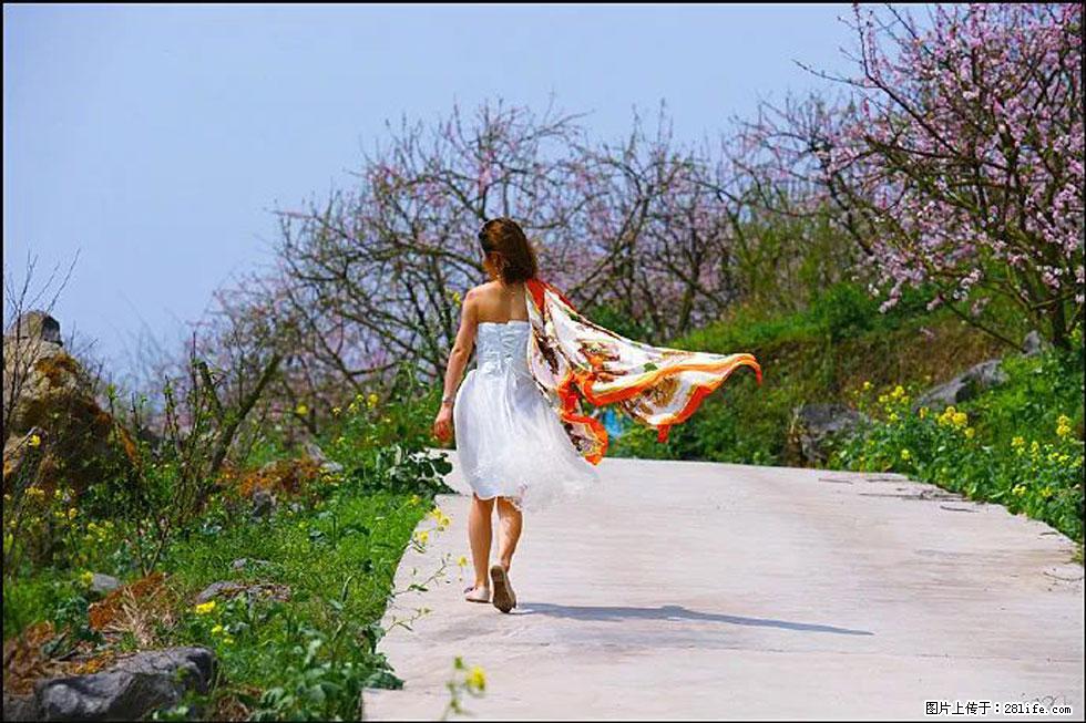 【春天,广西桂林灌阳县向您发出邀请!】望月岭上桃花开 - 游山玩水 - 许昌生活社区 - 许昌28生活网 xc.28life.com