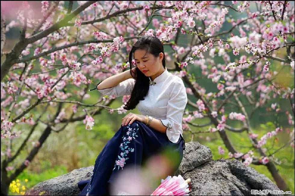 【春天,广西桂林灌阳县向您发出邀请!】望月岭上桃花开 - 游山玩水 - 许昌生活社区 - 许昌28生活网 xc.28life.com