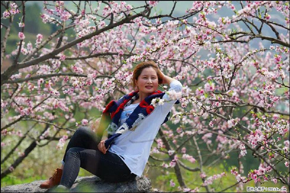 【春天,广西桂林灌阳县向您发出邀请!】望月岭上桃花开 - 游山玩水 - 许昌生活社区 - 许昌28生活网 xc.28life.com