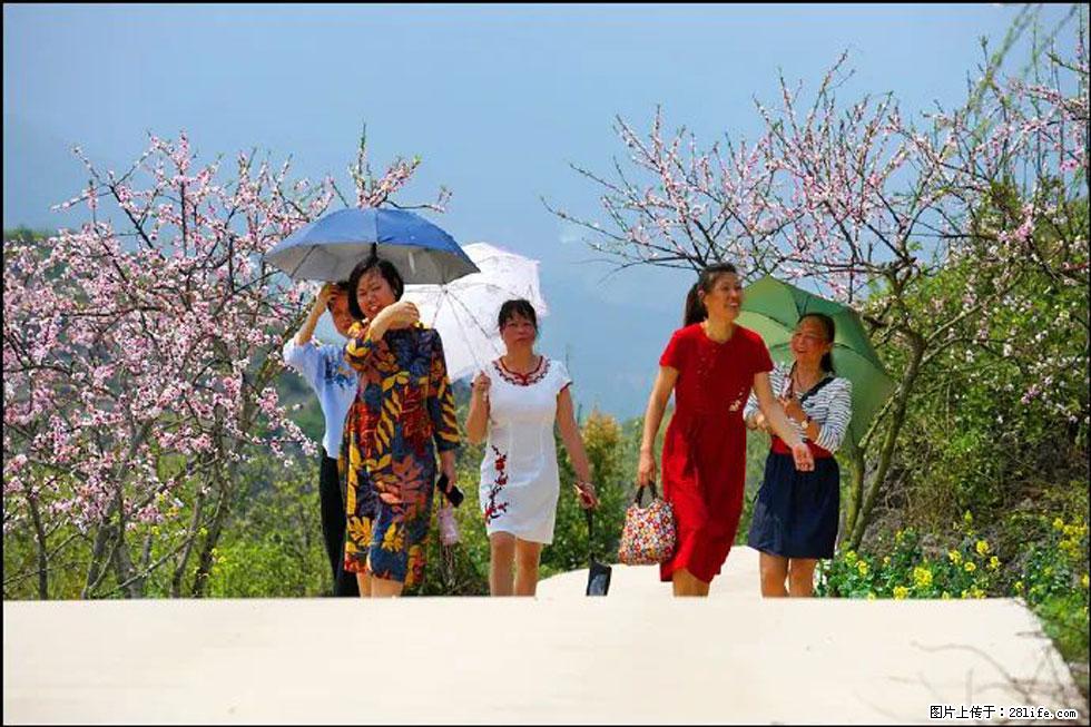 【春天,广西桂林灌阳县向您发出邀请!】望月岭上桃花开 - 游山玩水 - 许昌生活社区 - 许昌28生活网 xc.28life.com