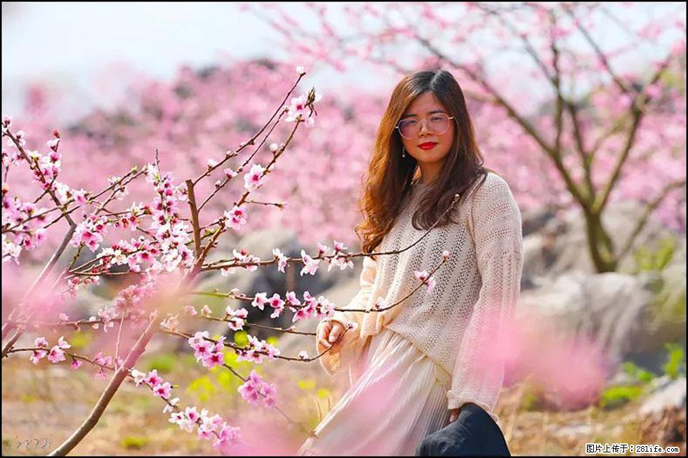 【春天,广西桂林灌阳县向您发出邀请!】望月岭上桃花开 - 游山玩水 - 许昌生活社区 - 许昌28生活网 xc.28life.com