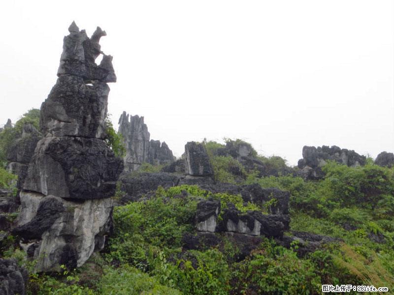 桂林旅游名城景点:灌阳文市石林 - 游山玩水 - 许昌生活社区 - 许昌28生活网 xc.28life.com