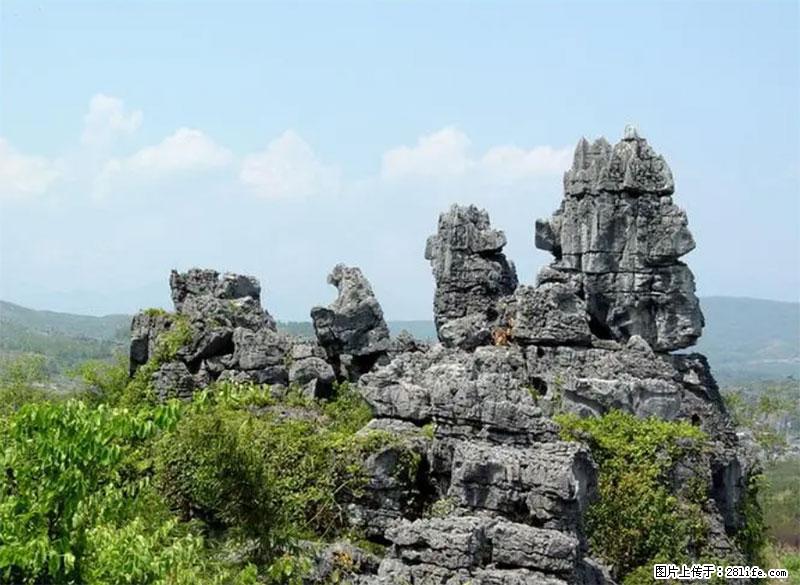 桂林旅游名城景点:灌阳文市石林 - 游山玩水 - 许昌生活社区 - 许昌28生活网 xc.28life.com