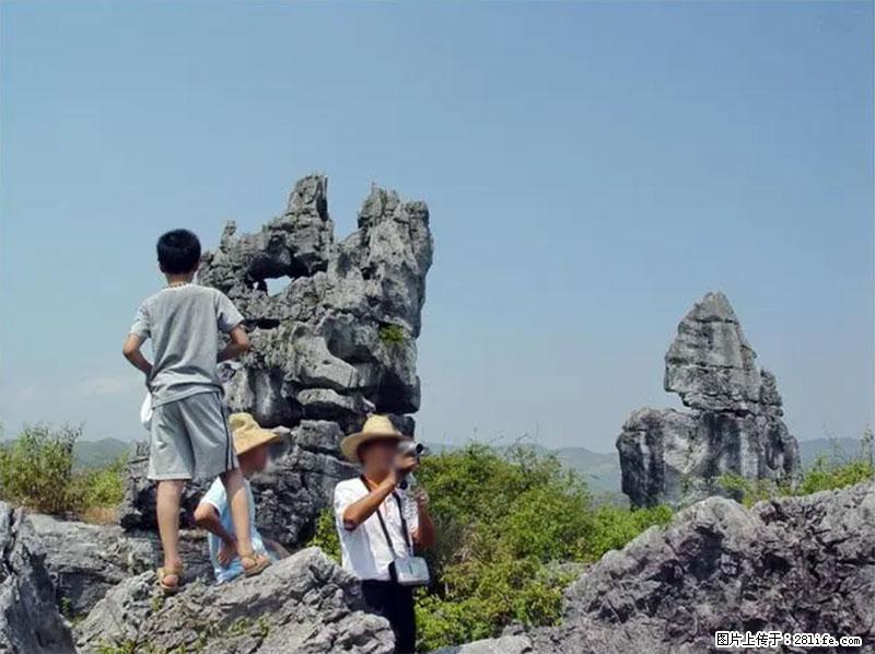 桂林旅游名城景点:灌阳文市石林 - 游山玩水 - 许昌生活社区 - 许昌28生活网 xc.28life.com