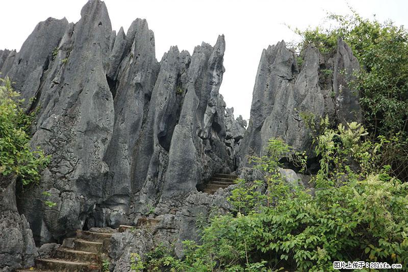 桂林旅游名城景点:灌阳文市石林 - 游山玩水 - 许昌生活社区 - 许昌28生活网 xc.28life.com