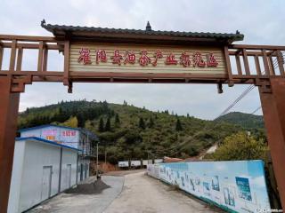 【灌阳县油茶产业示范区】一个有着充实的精神生活的人,对待身外之物自会有一种淡泊的态度 - 许昌28生活网 xc.28life.com