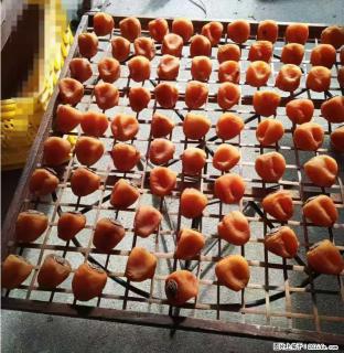 广西桂林平乐桥亭【柿饼之乡】2025年纯手工制作、无任何添加剂的第一批柿饼准备上市了，欢迎联系订购！ - 许昌28生活网 xc.28life.com