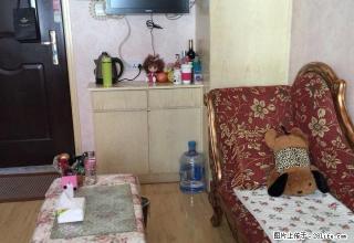 一品蓝湾1室精装修家具家电齐全 - 许昌28生活网 xc.28life.com