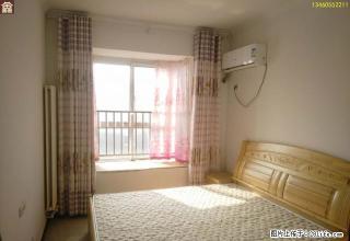 东区 瑞贝卡新天下 电梯房 精装整租 家电齐全 拎包入住 - 许昌28生活网 xc.28life.com