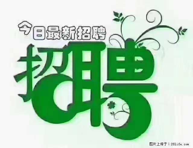 【招聘摄像师】待遇:试用期6000元/月,转正7000元/月+五险一金+餐补+节日福利+奖金 - 职场交流 - 许昌生活社区 - 许昌28生活网 xc.28life.com