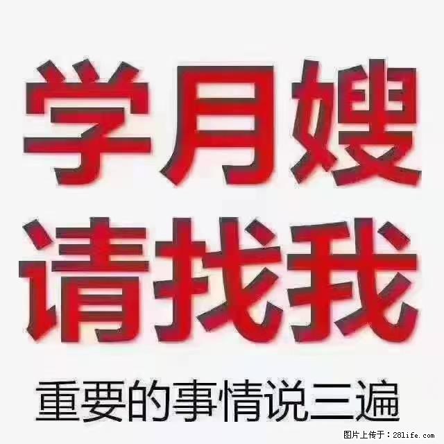 【招聘】月嫂,上海徐汇区 - 其他招聘信息 - 招聘求职 - 许昌分类信息 - 许昌28生活网 xc.28life.com