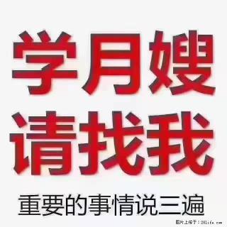 【招聘】月嫂,上海徐汇区 - 许昌28生活网 xc.28life.com