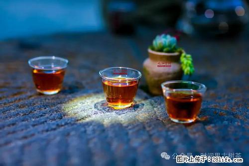 时间果百年古树2025年春红茶 - 购物交流 - 许昌生活社区 - 许昌28生活网 xc.28life.com