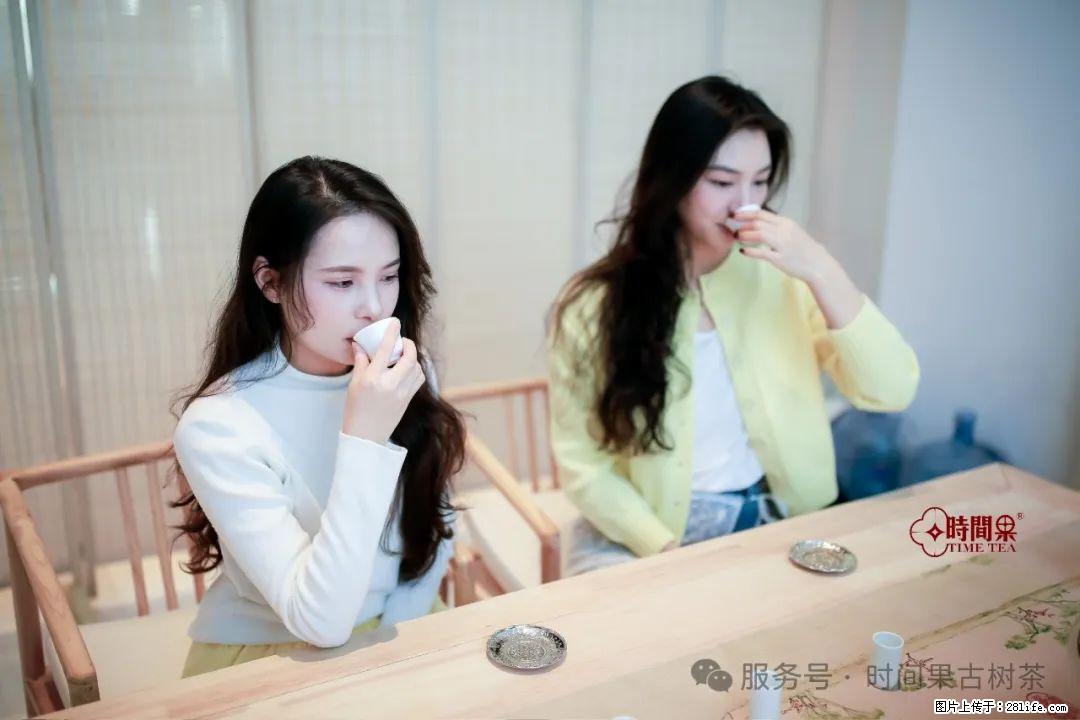 时间果百年古树龙珠普洱生茶 - 购物交流 - 许昌生活社区 - 许昌28生活网 xc.28life.com