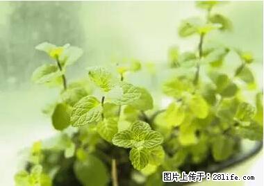 晕车、脚气、牙齿变黄、皮肤粗糙?学会这些三分钟搞定! - 许昌生活资讯 - 许昌28生活网 xc.28life.com