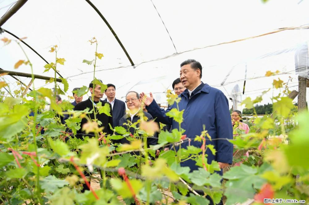 习近平赴广西考察调研 - 许昌生活资讯 - 许昌28生活网 xc.28life.com