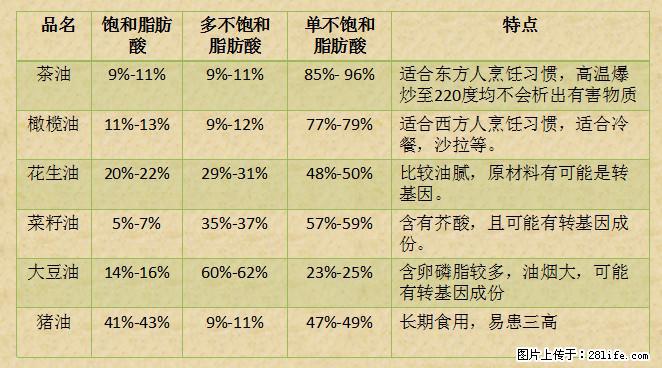 揭秘茶油的5大核心营养成分!被称为人体健康的“守护盾”! - 许昌生活资讯 - 许昌28生活网 xc.28life.com