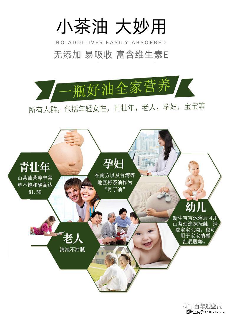 世界没有真相,只有认知,最好的食用油是中国的山茶油! - 许昌生活资讯 - 许昌28生活网 xc.28life.com