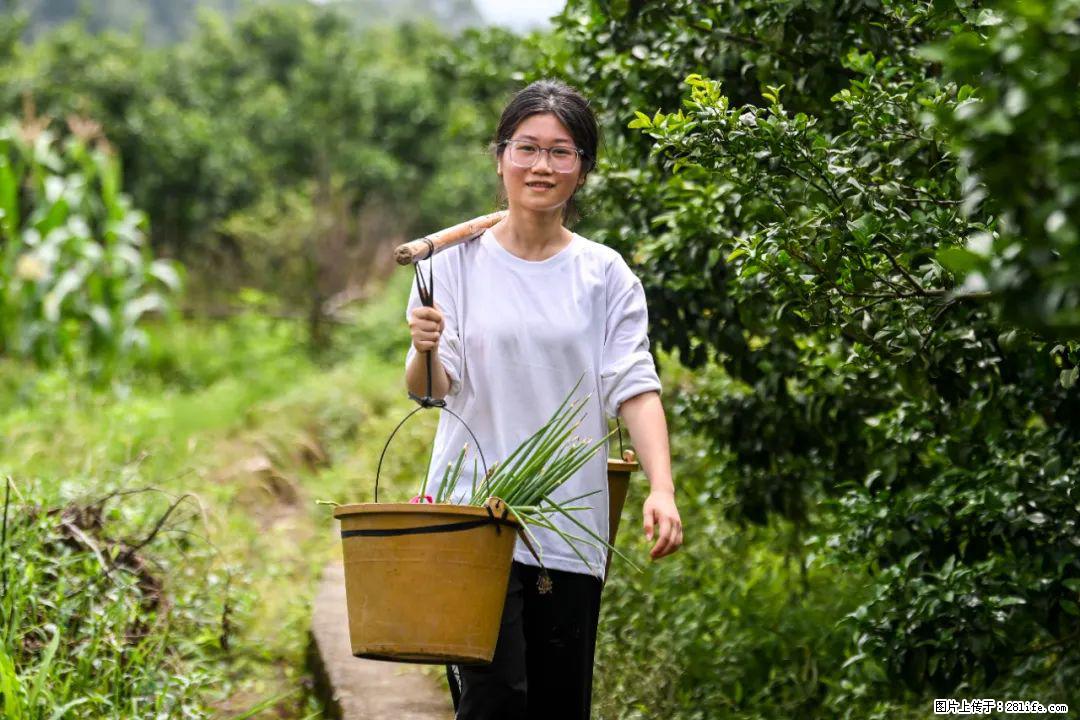 全网追的“扁担女孩”,找了一份暑假工,时薪12元 - 许昌生活资讯 - 许昌28生活网 xc.28life.com