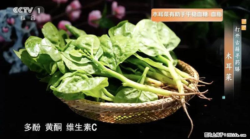 比牛奶补钙还厉害！凉血解毒、稳血糖...这菜冬天必吃，很多人却当草 - 许昌生活资讯 - 许昌28生活网 xc.28life.com