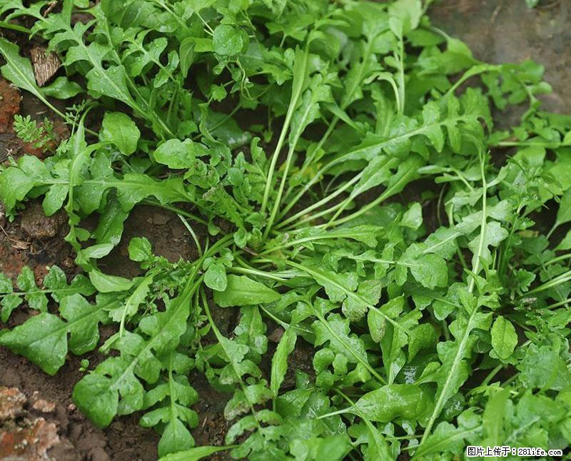 这些蔬菜是“天然钙片”，这6种被医生重点推荐 - 许昌生活资讯 - 许昌28生活网 xc.28life.com