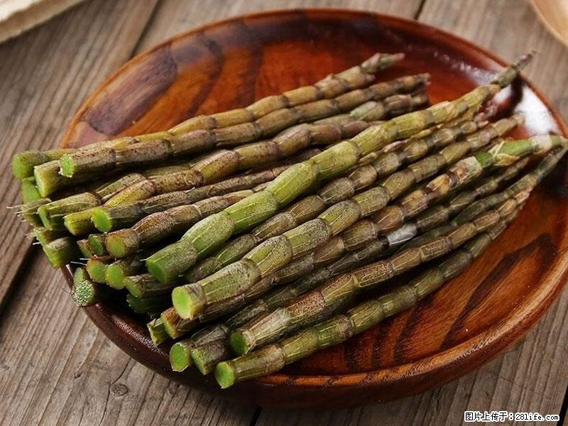 铁皮石斛的作用与功能主治 - 许昌生活资讯 - 许昌28生活网 xc.28life.com