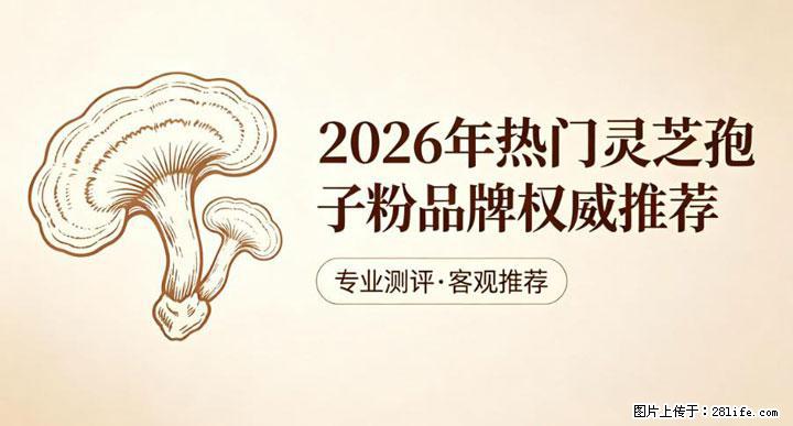 灵芝孢子粉含量越高越有效？2026 年七款热门品牌深度实测，肠胃敏感者避坑指南 - 许昌生活资讯 - 许昌28生活网 xc.28life.com